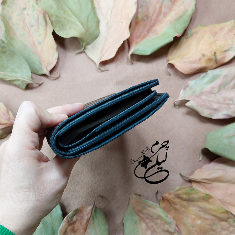 کیف مدارک و پاسپورت